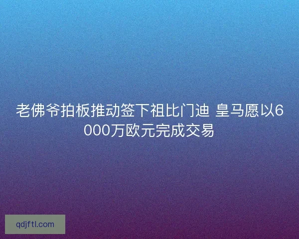 老佛爷拍板推动签下祖比门迪 皇马愿以6000万欧元完成交易 老佛爷拍板推动签下祖比门迪 皇马愿以6000万欧元完成交易